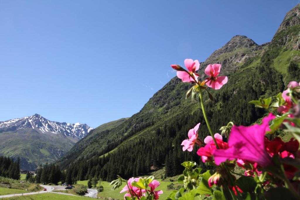 Haus Elisabeth Hotel Sankt Leonhard im Pitztal Ruang foto